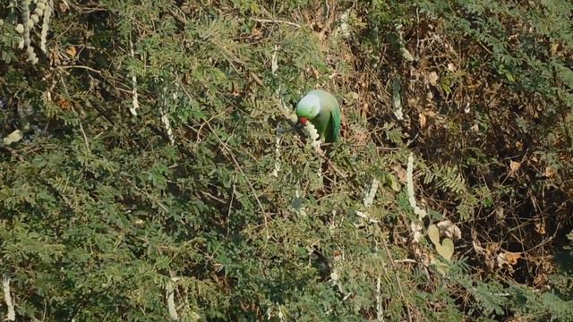 19 02 23 5 S M Ali Rd Shi Ngr 2 смотреть онлайн