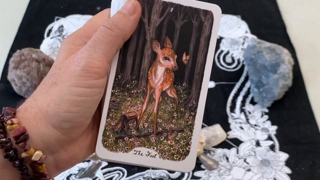 Oak, Ash, & Thorn Tarot Deck Review & Unboxing 2021 смотреть онлайн