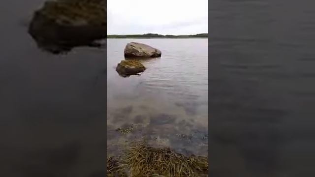 Кандалакша лазурный берег дача лето 2019 смотреть онлайн
