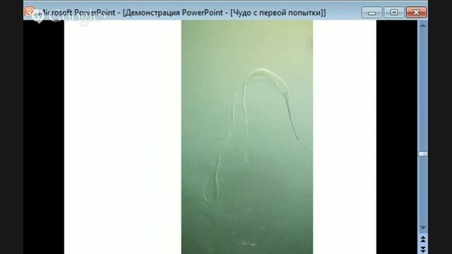 Большой Кукольный Фестиваль. День 1.