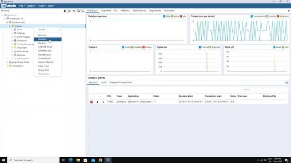 Fix pgAdmin Utility Not Found Please Correct the Binary Path in the Preferences Dialog PostgreSQL