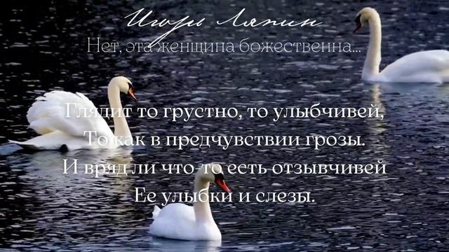 Библиотрибьют «Женщины глазами поэтов». Игорь Ляпин смотреть онлайн