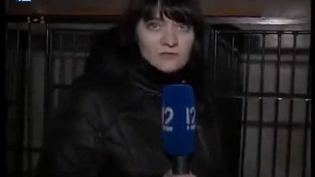 Юные танцоры побывали в приюте "Друг" смотреть онлайн