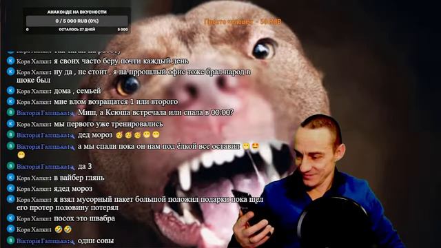 Ламповый-Стрим/03.01.2022//#apbt#апбт#питбуль/Донат в описании! С НОВЫМ ГОДОМ ВСЕХ. смотреть онлайн