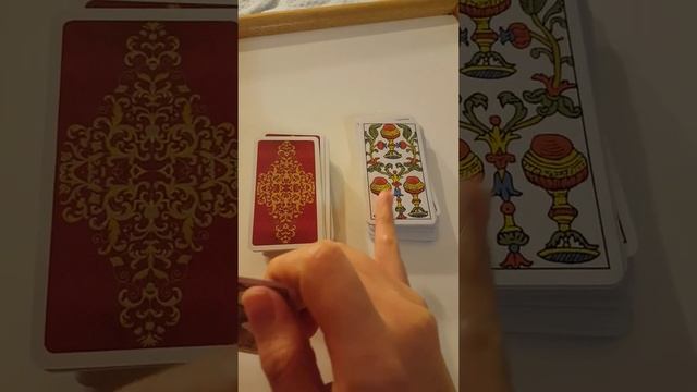 Review & Flipthrough of MINIATURE Tarot of Marseilles #tarot #marseilles смотреть онлайн