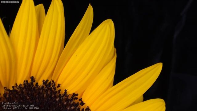 Fujifilm X S10 Sample Images | Fujifilm X S10 Photography P9900 смотреть онлайн