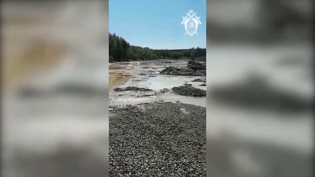 Возбуждено уголовное дела по факту загрязнения реки Толыч смотреть онлайн