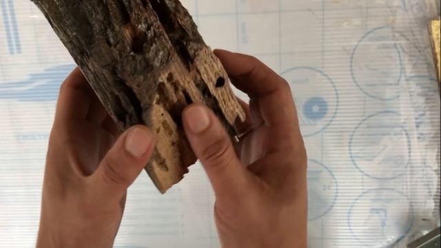 ЛАМПА ЗА 2000 ЕВРО? Как сделать лампу из эпоксидной смолы. # 1 смотреть онлайн