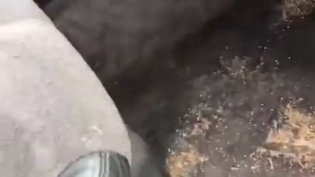 Mercedes ML 270 автомат 2005г. смотреть онлайн