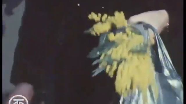 Весна в Москве, Тбилиси, Мурманске 1980 год 1 марта, опрос прохожих смотреть онлайн