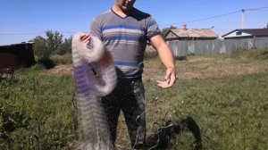 Как забросить кастинговую сеть! 3 Легких способа заброса кастинговой сети | How to trow cast net