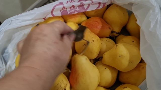 Идём в гости//Будет не до съёмок// смотреть онлайн