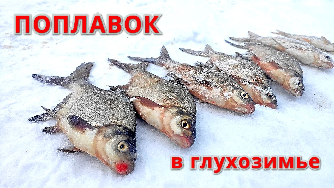 РЫБАЛКА в ТРЁХРЕЧЬЕ. ПОПЛАВОК - СНАСТЬ для ГЛУХОЗИМЬЯ. Лёд больше метра. смотреть онлайн