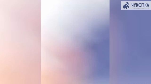 Белый медведь загрыз трёх собак в селе на Чукотке смотреть онлайн