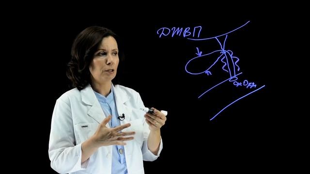 Дискинезия желчевыводящих путей (ДЖВП). Что это такое? смотреть онлайн