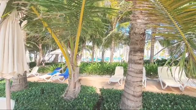Онлайн Трансляция. Доминикана. Пляж Отеля Riu Palace Bavaro