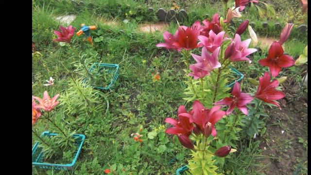 Для мудреца день, это его новая жизнь смотреть онлайн