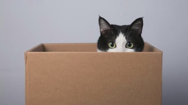 Типы хранения в Java