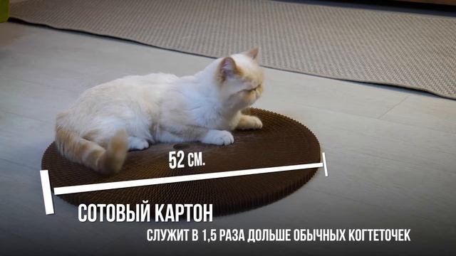 Когтеточка-лежанка картон "Зверьё Моё" 52см смотреть онлайн