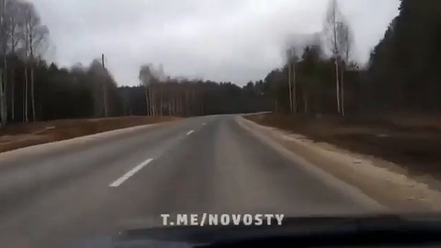 "Умом Россию не понять, когда такие вещи видишь!". Посреди трассы под Владимиром установили столбы. смотреть онлайн