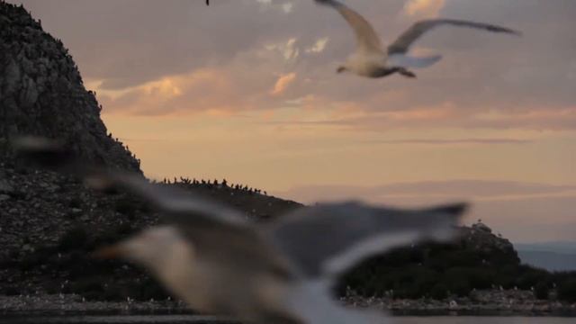 Olkhon Island 17 | одинокое лето на Байкале, песни и чайки смотреть онлайн