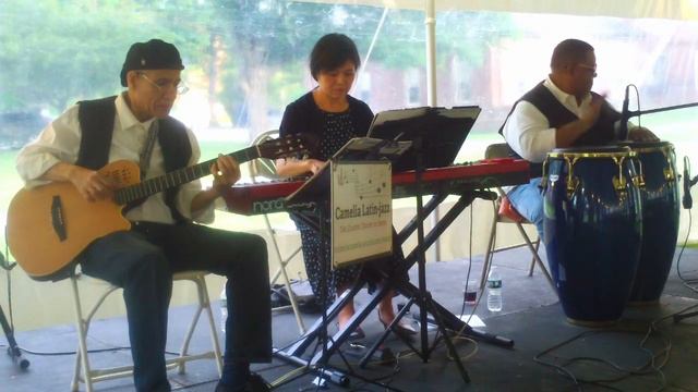 Stella By Starlight, bolero-jazz, 6-10-2022, Camelia Latin-jazz Trio. смотреть онлайн