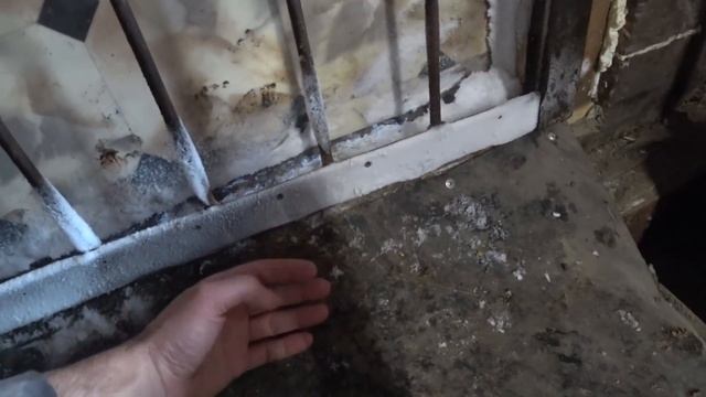 Первый мороз ❄ Как там в сарае? смотреть онлайн