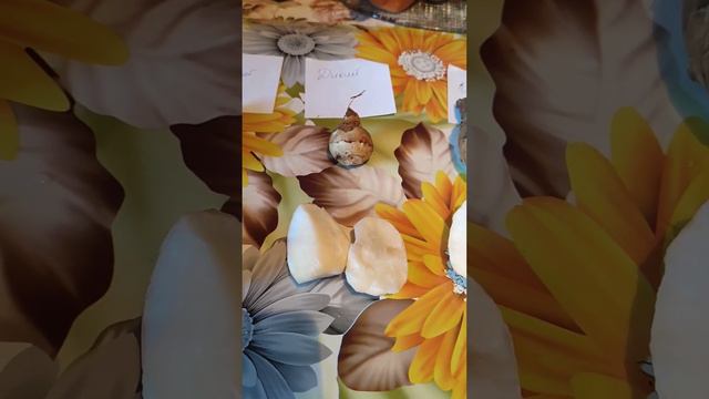 Дегустирую 4 сорта топинамбура. Есть ли разница между сортовым и диким? смотреть онлайн