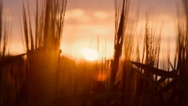 Расслабляющая музыка для сна, медитации и борьбы со стрессом 2021 смотреть онлайн