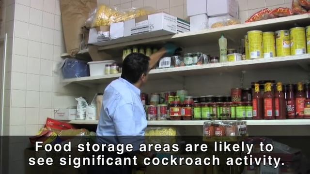 Cockroach bait placement with Goliath Gel смотреть онлайн