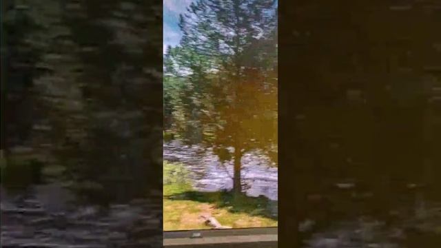 Видео №597206 смотреть онлайн