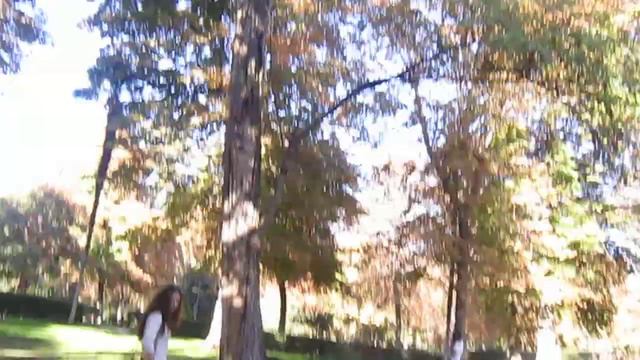 Biólogos jugando al twister, intento de foto...salió un video XD смотреть онлайн