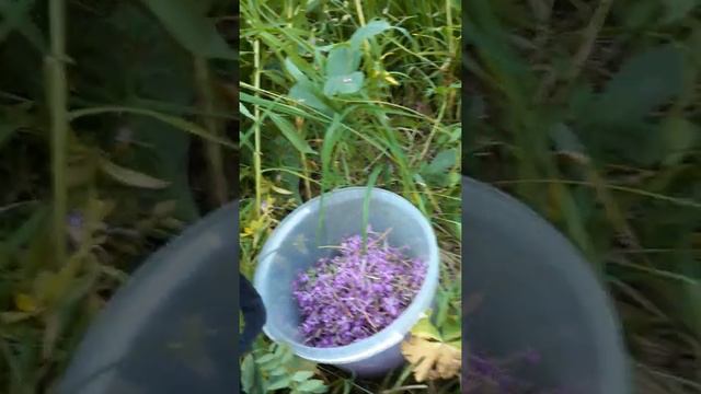 16 июля 2022 г. смотреть онлайн