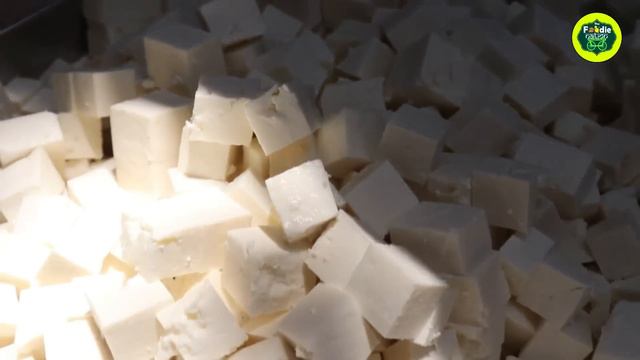 Anand Dosa #Mumbai | India's No.1 Dosa Stall | Jini Dosa Recipe | Indian Street Food Recipe смотреть онлайн