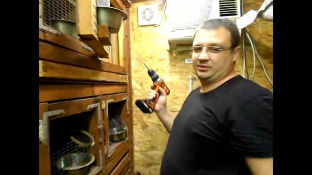 демонтаж клеток смотреть онлайн