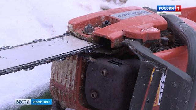 Ивановец спилил дерево без разрешения мэрии смотреть онлайн