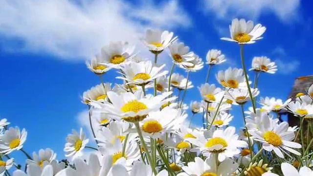 Целовались в землянике смотреть онлайн