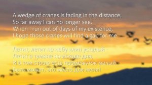 Песня Журавли на английском языке