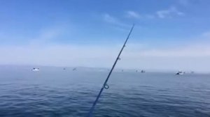 Ловля омуля на Байкале. Июнь 2017