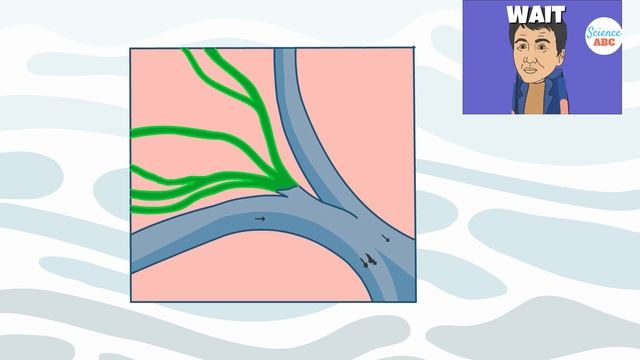 Lymphatic System Explained In Simple Words смотреть онлайн