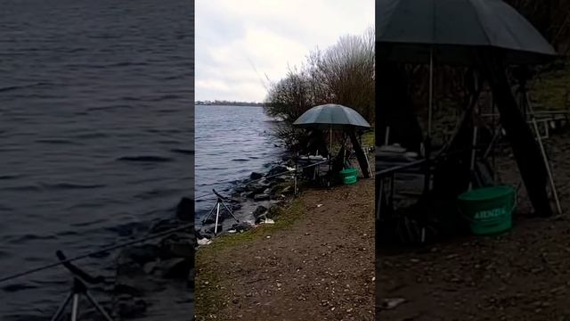 Три кормушки для холодной воды. Это много или мало??! смотреть онлайн