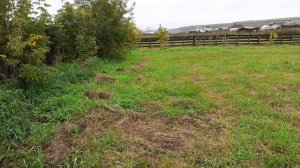 Деревня Холмушино. Проект "Общая дача" село Холмушино