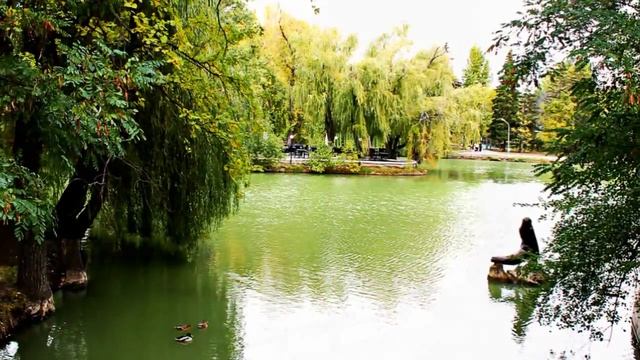 САРАТОВ ПАРК ОСЕНЬ 2015 смотреть онлайн