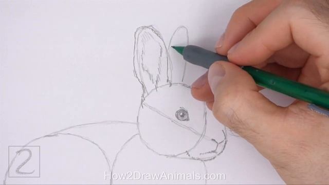 How to Draw a Rabbit смотреть онлайн