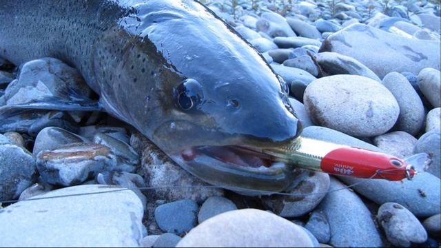 Рыболовный Родник