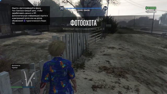 Поиск животных Курица, Кошка, Пудель | день третий в GTA ONLINE смотреть онлайн