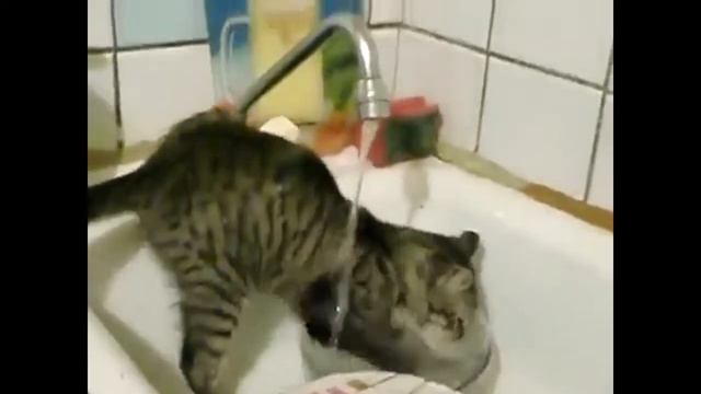 Ох уж эта грязная посуда! смотреть онлайн