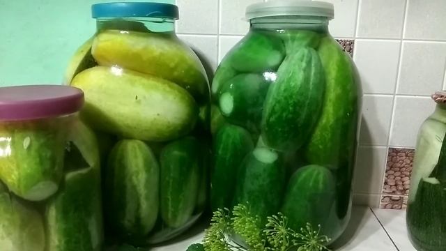 Рецепт огурцов без стерилизации, без уксуса! Огурцы под полиэтиленовой крышкой. смотреть онлайн