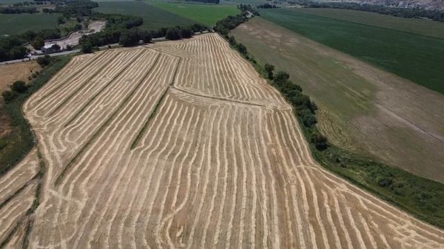 Бизнес на Алатауской породе КРС: реальные надои, рацион, уход, качество молока | Хильниченко и К смотреть онлайн