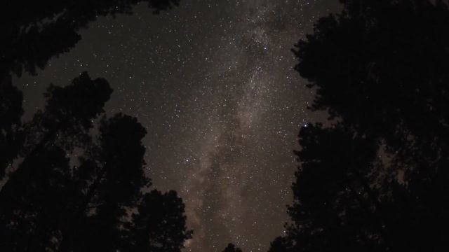 Симфония Мозга - 3 смотреть онлайн